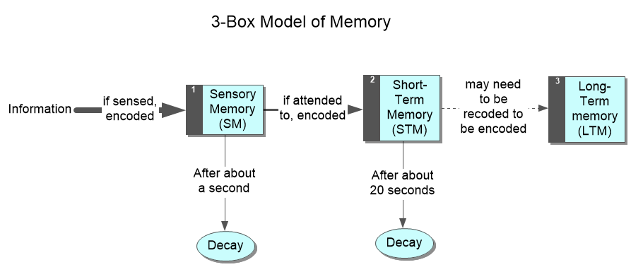 Three box model